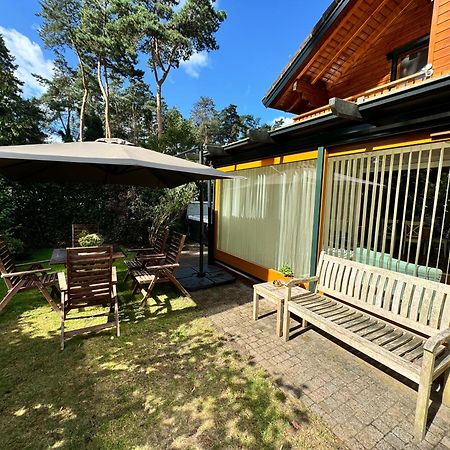 Houten Chalet/Bungalow In Het Bos, Sauna, Jacuzzi Meijel Eksteriør billede