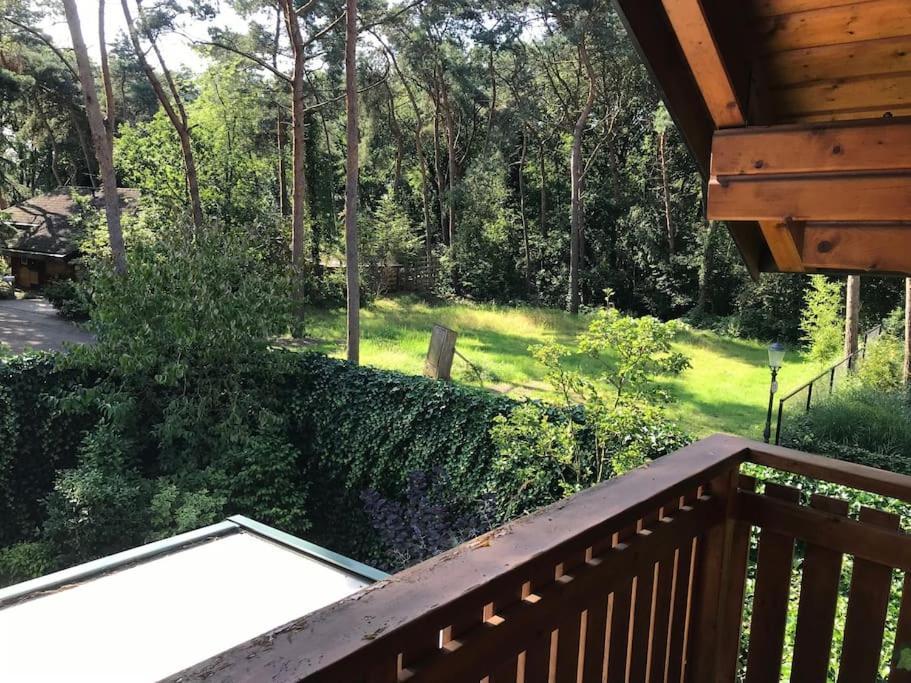 Houten Chalet/Bungalow In Het Bos, Sauna, Jacuzzi Meijel Eksteriør billede